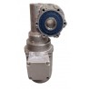 Motoreduktor 0,25kW 230/400V